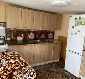 Photo 5. House, for sale. Dmytrivka