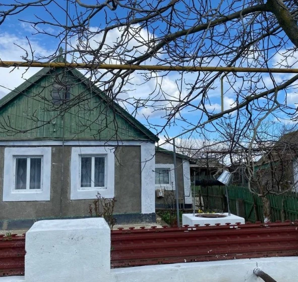 Photo 1. House, for sale. Dmytrivka