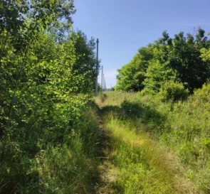 Фото 4. Ділянка, продаж. Малютянка