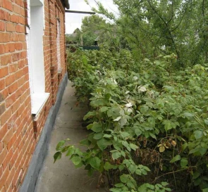 Photo 3. House, for sale. Ananiv