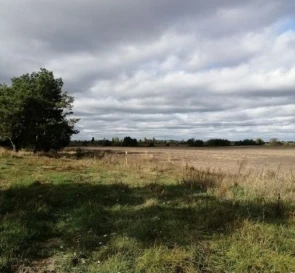 Фото 5. Ділянка, продаж. Шпитьки