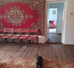 Фото 4. Будинок, продаж. Пеньківка