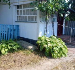 Photo 3. House, for sale. Dybyntsi