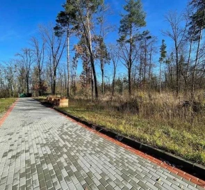 Фото 2. Участок, продажа. Рославичи