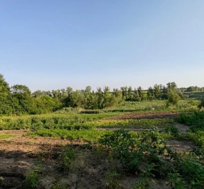 Фото 4. Дом, продажа. Никольское