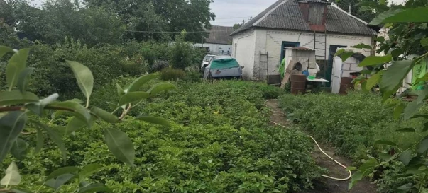 Фото 3. Дом, продажа. Белогородка