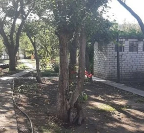 Photo 5. House, for sale. Kamianka