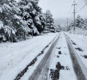 Фото 3. Будинок, продаж. Ясногородка