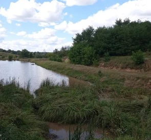Фото 5. Ділянка, продаж. Хохітва
