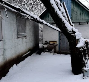 Фото 3. Дом, аренда. Леточки