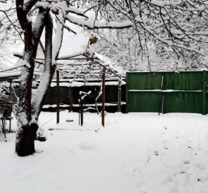 Фото 4. Дом, аренда. Леточки