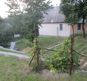 Фото 5. Дом, продажа. Ходоров