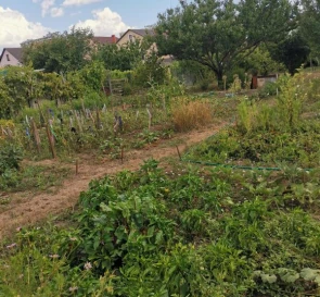 Фото 3. Ділянка, продаж. Овідіополь