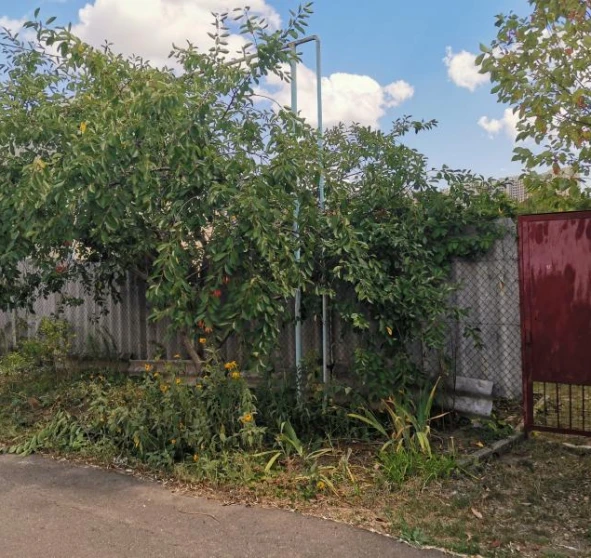 Фото 1. Ділянка, продаж. Овідіополь