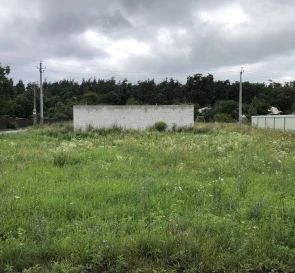Фото 4. Ділянка, продаж. Шевченкове