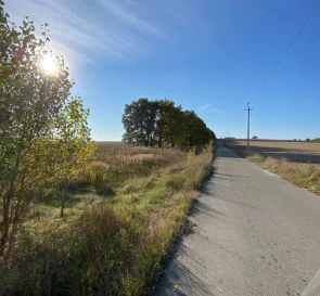 Photo 5. Lot, for sale. Ozera