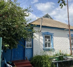 Photo 3. House, for sale. Nova Oleksandrivka