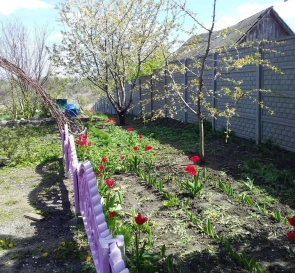 Photo 5. House, for sale. Zelenyi Yar