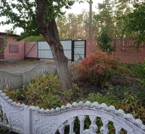 Photo 4. House, for sale. Zelenyi Yar