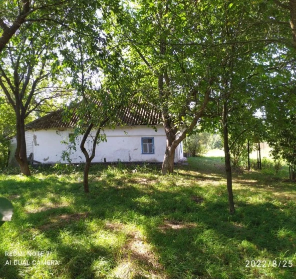 Фото 1. Будинок, продаж. Мала Стариця