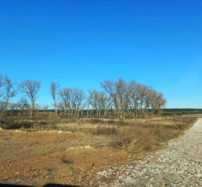 Photo 4. Lot, for sale. Brovary