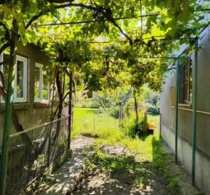 Photo 2. House, for sale. Velykyi Bereznyi