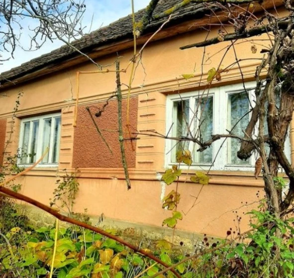 Фото 1. Дом, продажа. Квасово