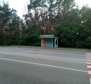 Фото 2. Участок, продажа. Козин
