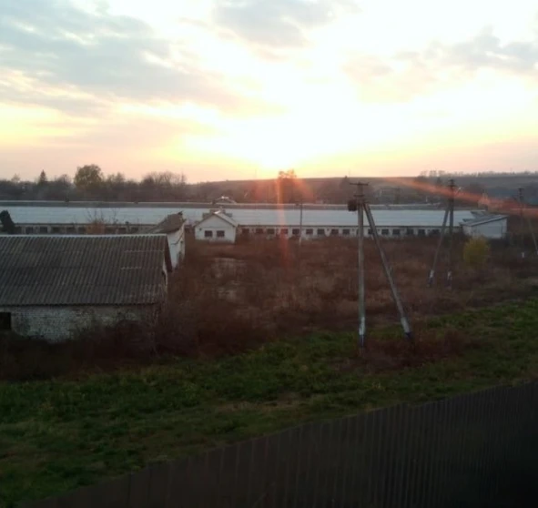 Photo 1. Business, for sale. Perehonivka