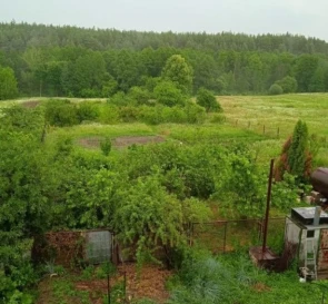 Фото 4. Будинок, продаж. Козичанка
