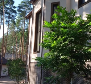 Фото 3. Будинок, продаж. Глеваха
