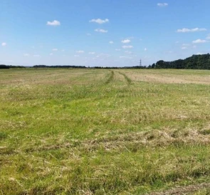 Фото 5. Ділянка, продаж. Тарасівка