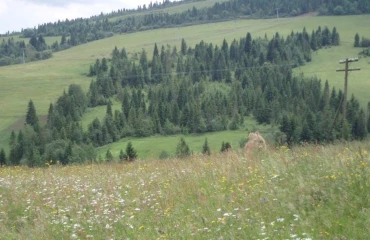 Фото Ділянка, продаж. Верхнє