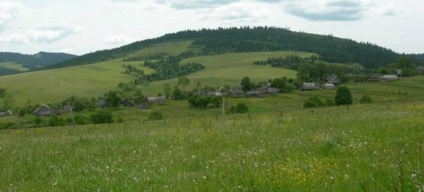 Фото 3. Ділянка, продаж. Верхнє