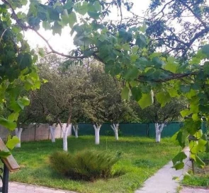 Photo 3. House, for sale. Hodosovka