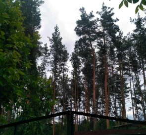 Photo 5. House, for sale. Hodosovka