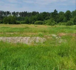Фото 3. Будинок, продаж. Кодра