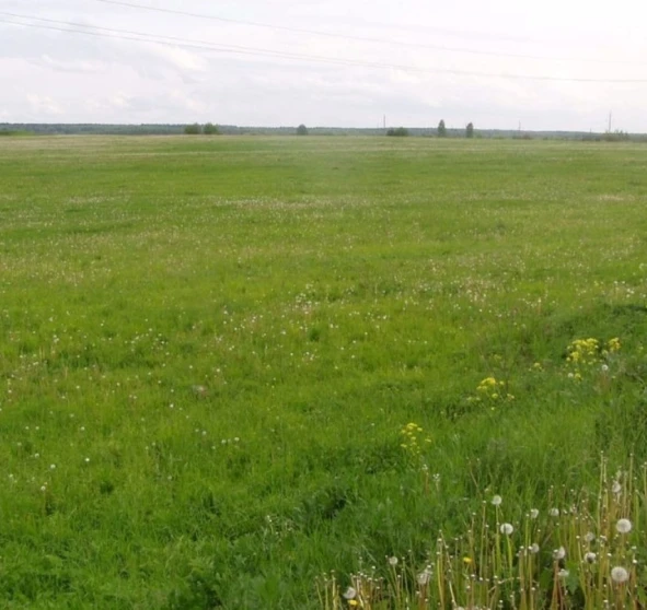 Photo 1. Lot, for sale. Mostyshche