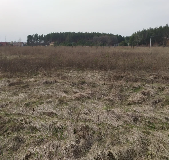 Photo 1. Lot, for sale. Kolonshchyna