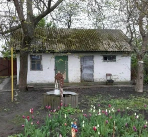 Фото 3. Будинок, продаж. Іванків