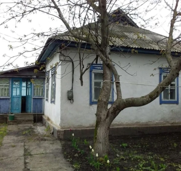 Фото 1. Будинок, продаж. Іванків