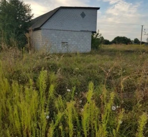 Photo 2. Lot, for sale. Velyka Dymerka