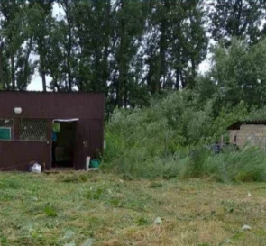 Фото 3. Участок, продажа. Иванков