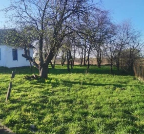 Photo 3. House, for sale. Liudvynivka