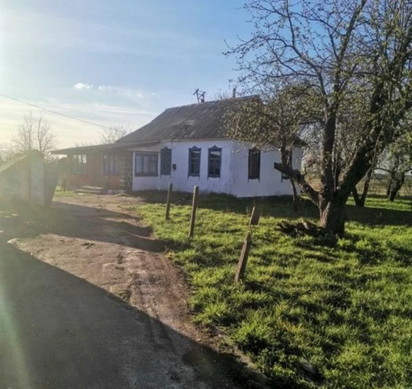 Photo 1. House, for sale. Liudvynivka