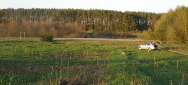 Photo 4. Lot, for sale. Fasivochka