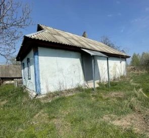 Фото 2. Будинок, продаж. Здвижівка