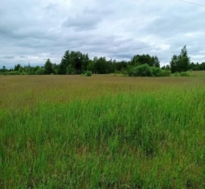 Фото 3. Ділянка, продаж. Жукин