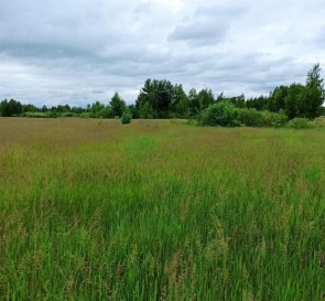 Фото 2. Ділянка, продаж. Жукин