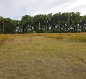 Фото 4. Участок, продажа. Гоголев